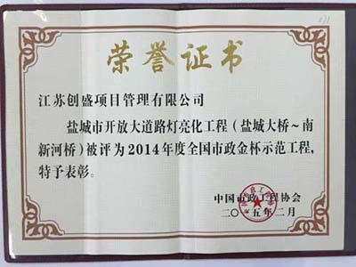 公司動態(tài)=我司承監(jiān)的開放大道路燈亮化工程獲2014年度全國市政金杯示范工程02.jpg